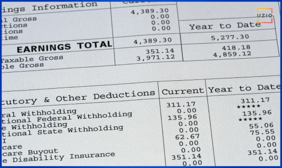 What does a Pay Stub look like?