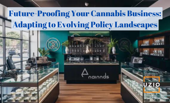 Crafting a Cannabis Business Model Resilient to Policy Shifts