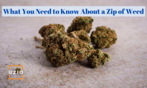 Zip of Weed: What is it and How Much Does It Cost?